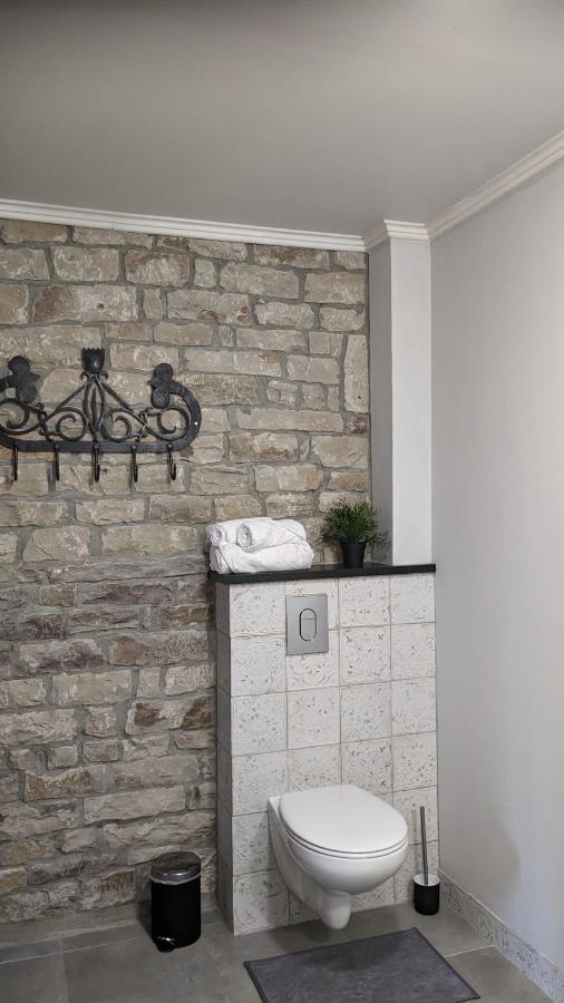 Manoir La Cerise Bed & Breakfast Fougerolles-Saint-Valbert