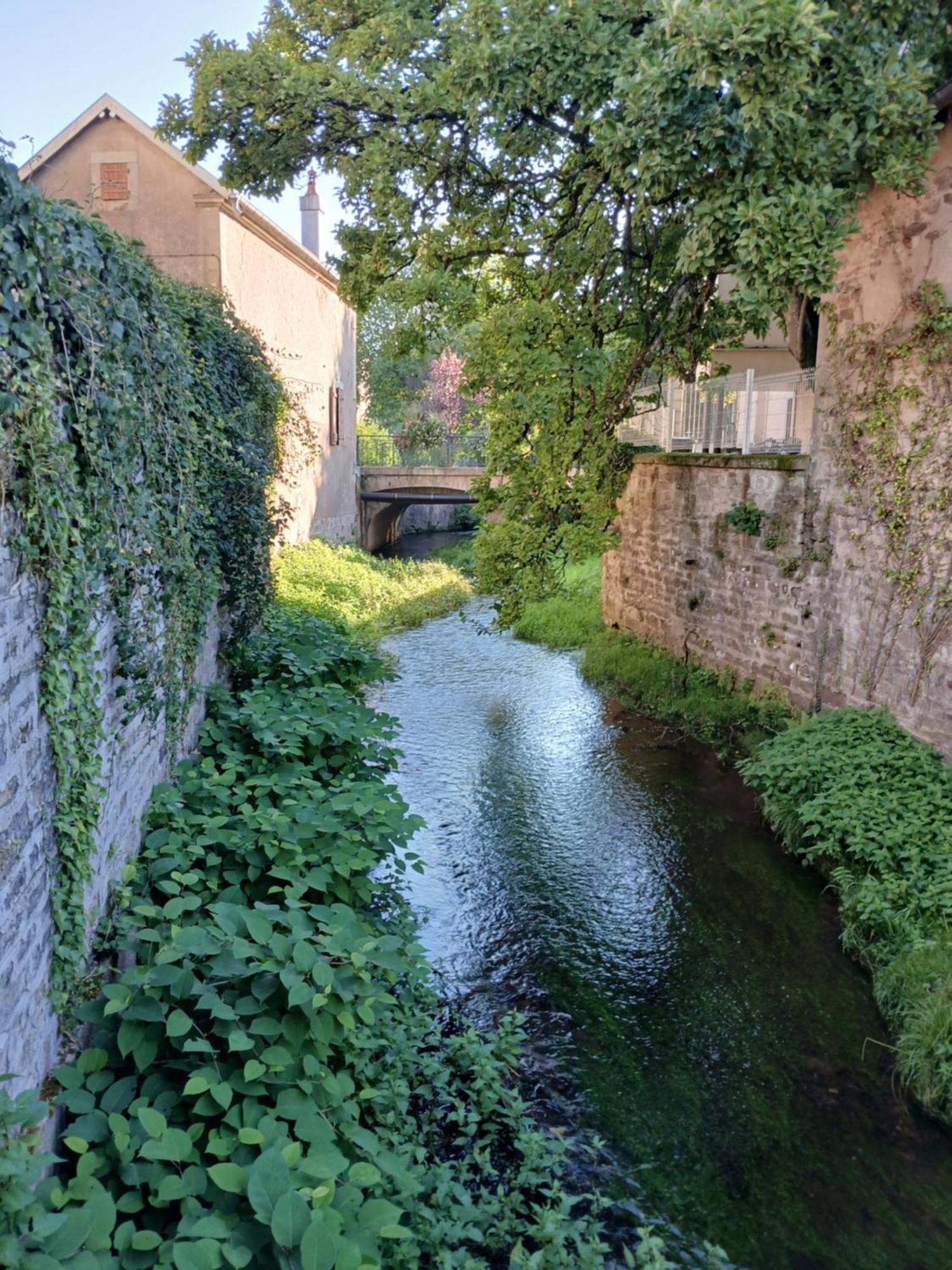 Manoir La Cerise Bed & Breakfast *